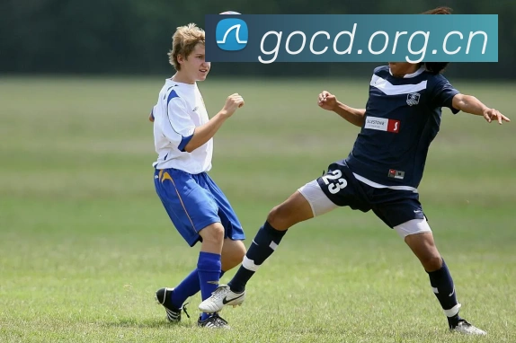 多媒体互动体验