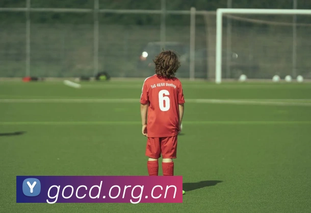 开云官网APP 体育赛事宣传图